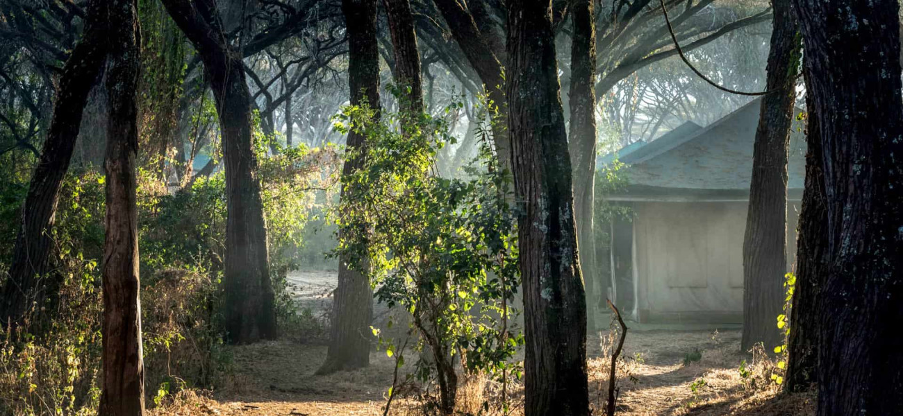 Sanctuary Ngorongoro Crater Camp