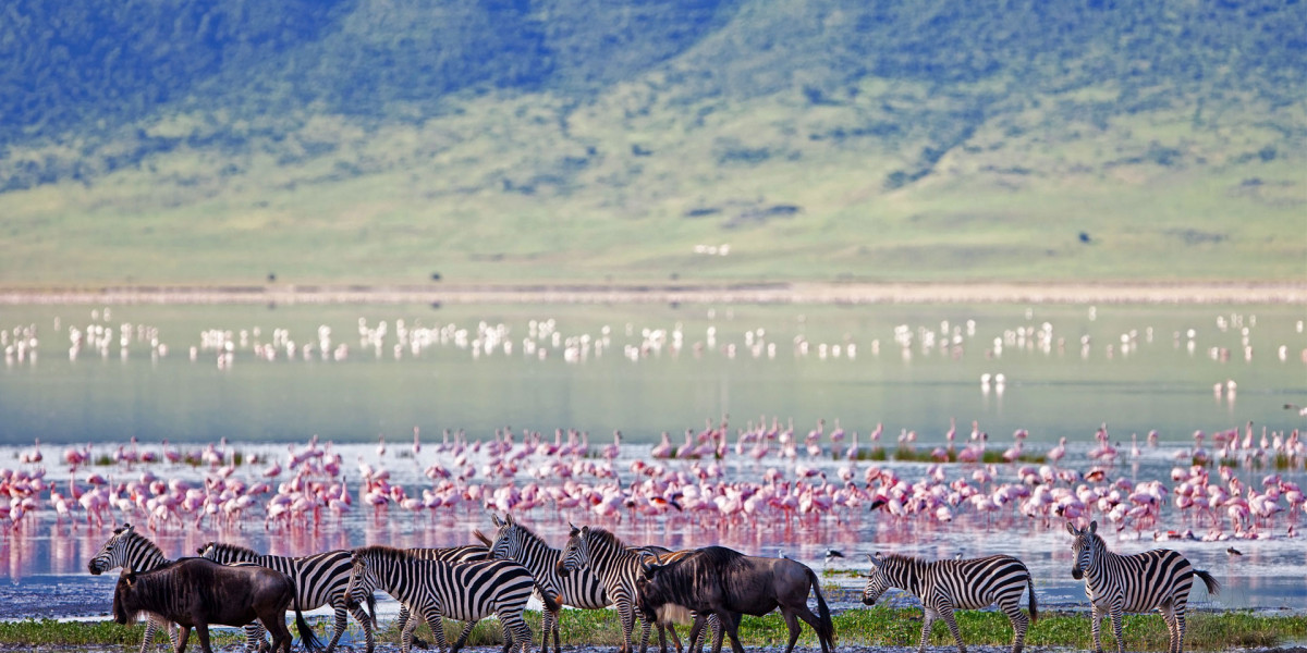 Ngorongoro Crater