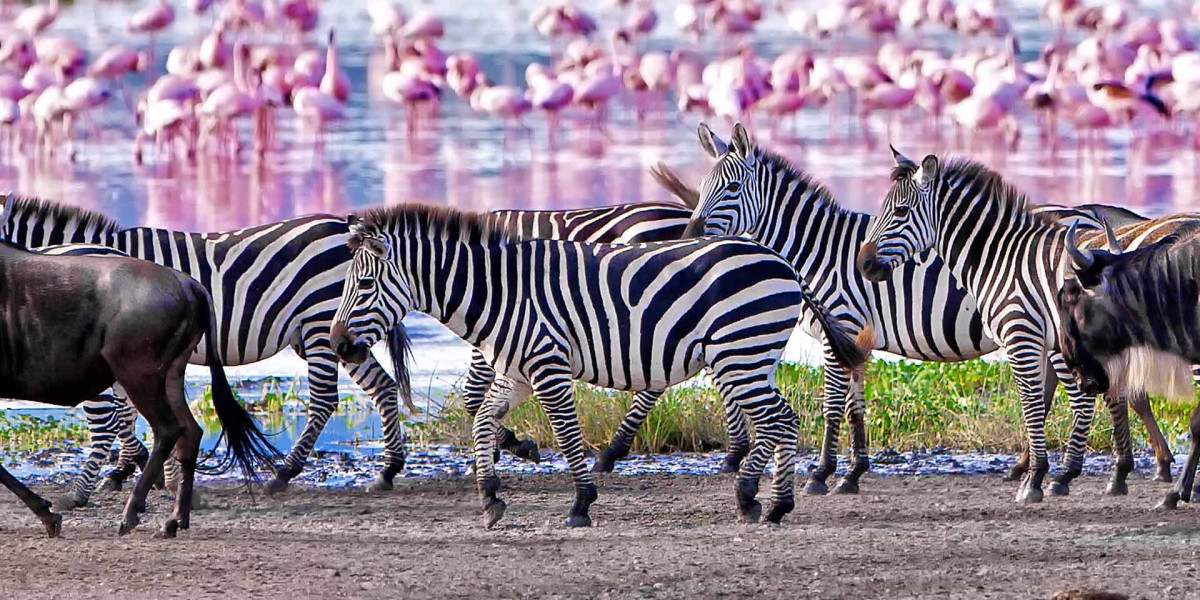 Lake Manyara National Park