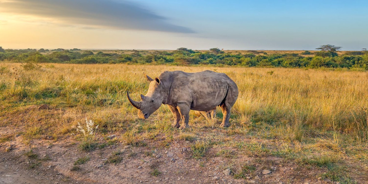 Mkomazi National Park