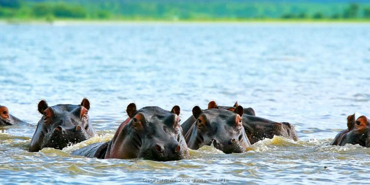 Saadani National Park