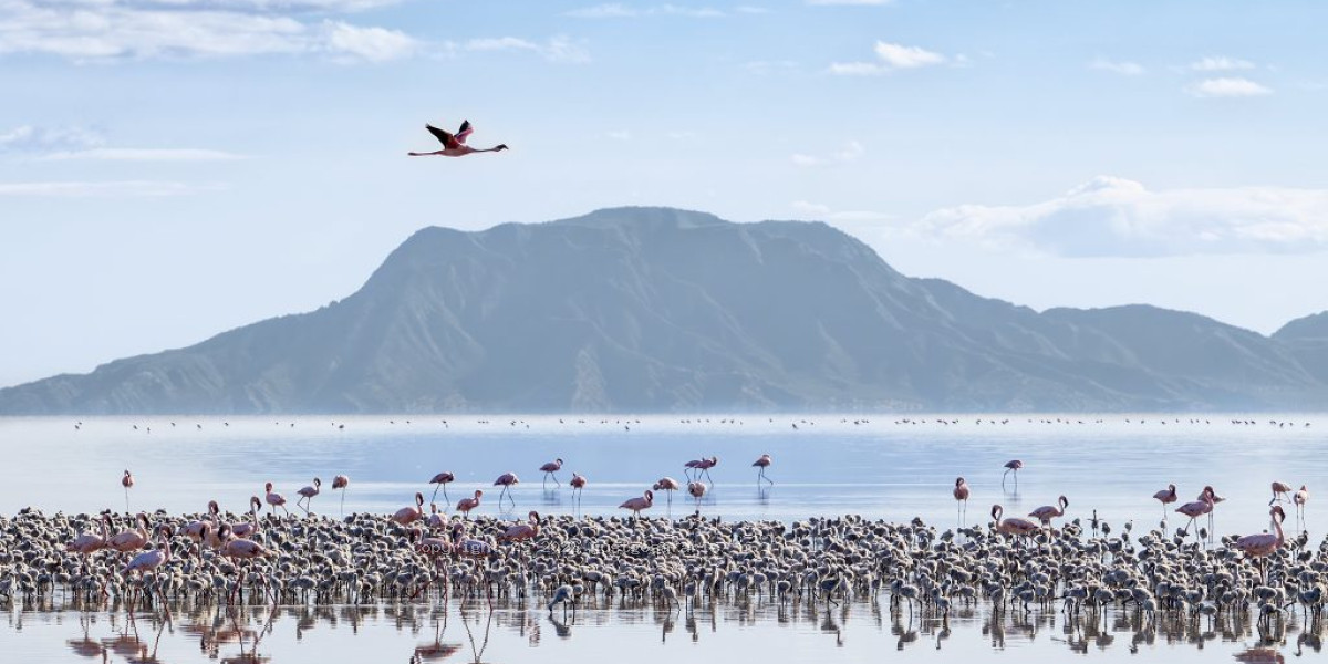 Lake Natron is not a typical safari stop
