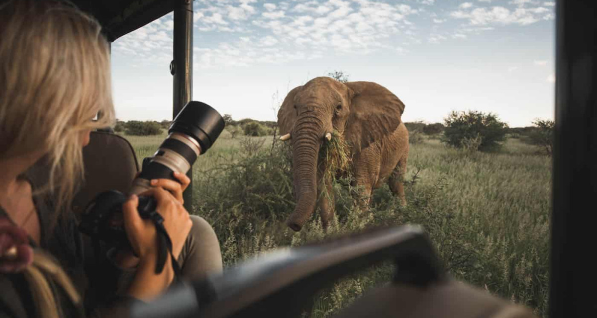 Photographic Safari Experience