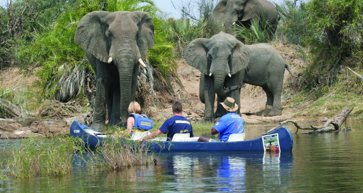Canoeing Safaris