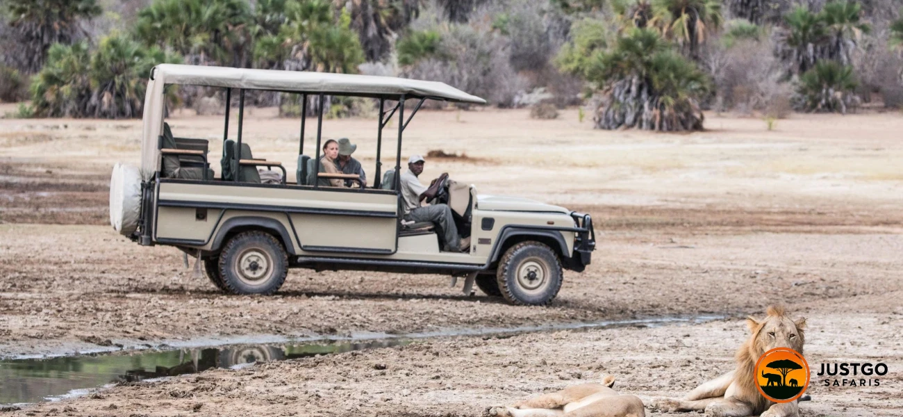 Family Safari to Mikumi & Nyerere National Parks