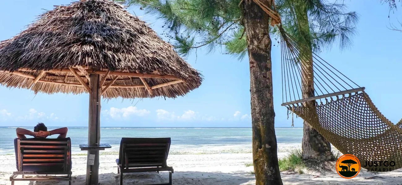 Southern Tanzania Wilderness & Zanzibar Escape