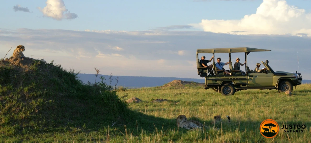 Northern Tanzania Classic Safari Experience
