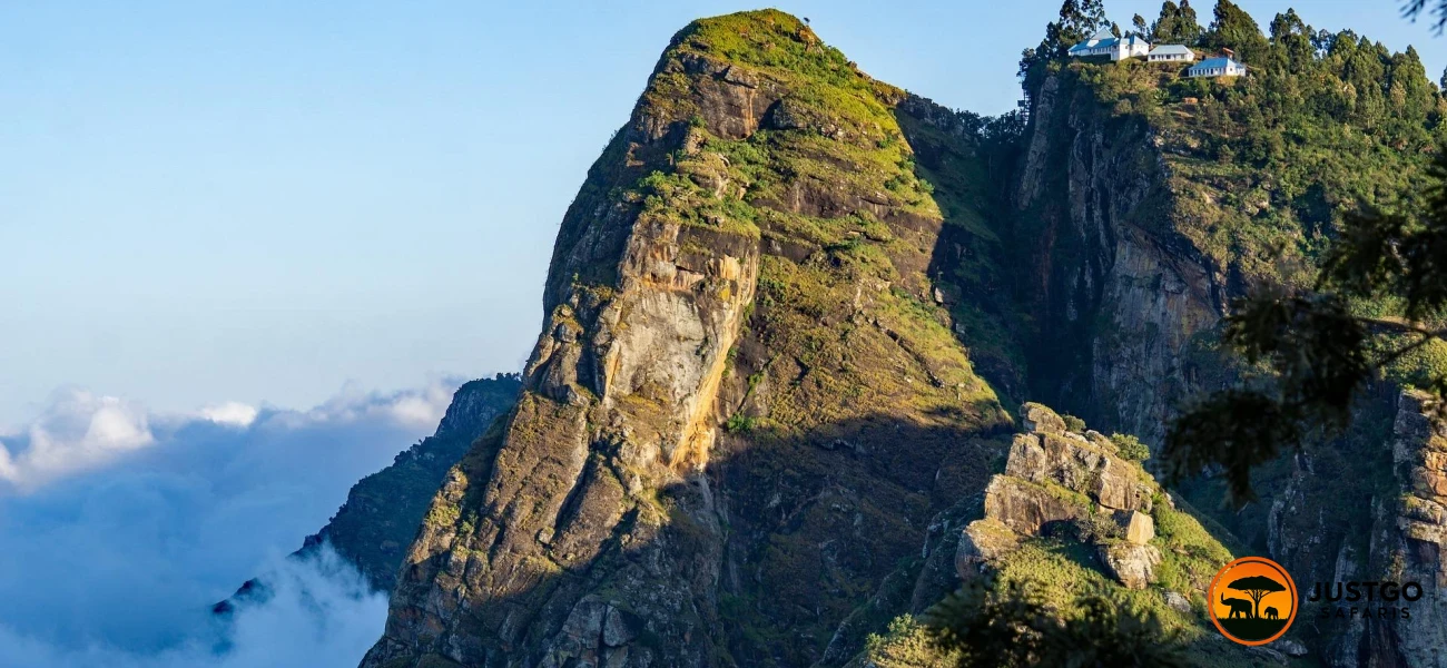 West &amp; East Usambara Forests