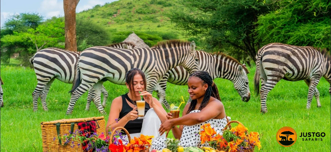 Serval Wildlife Experience