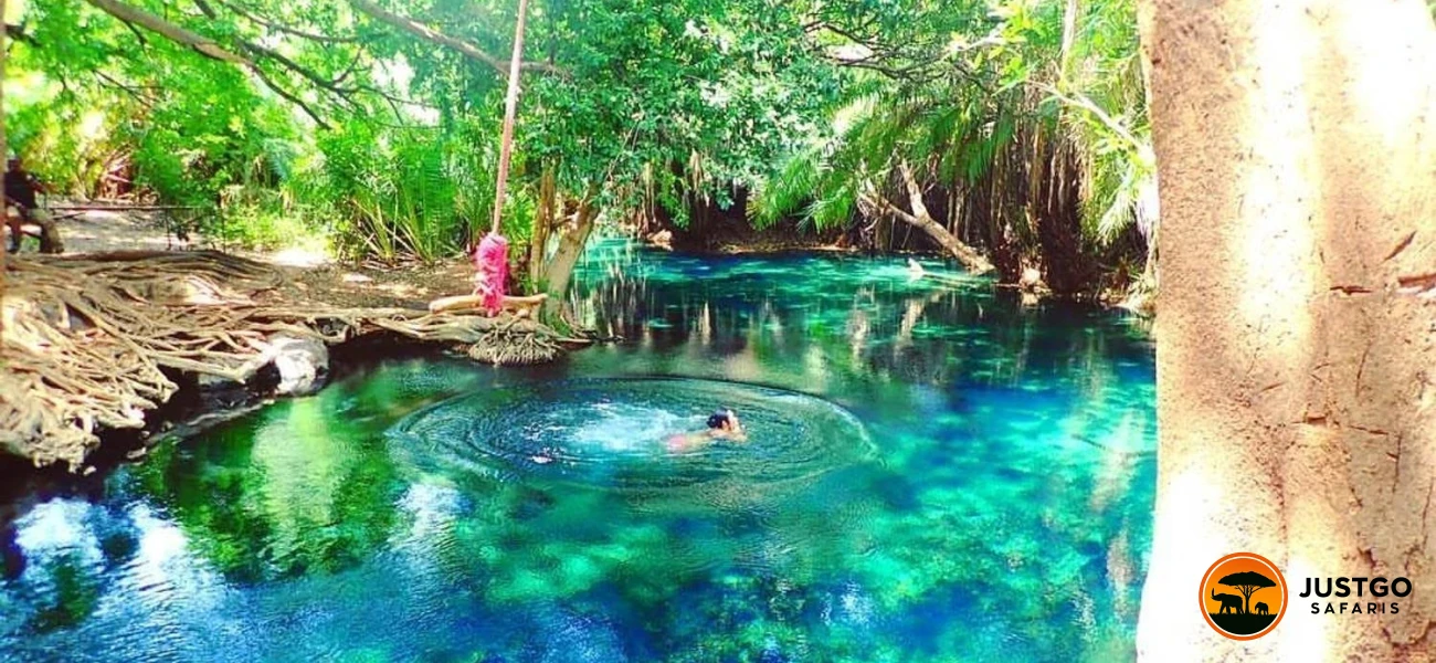 Day Trip to Chemka Hot Springs & Materuni Waterfalls