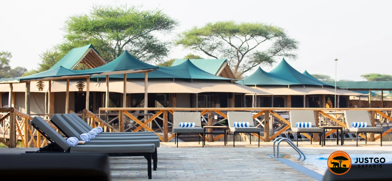 Exclusive Fly-In Safari from Zanzibar to Serengeti & Ngorongoro