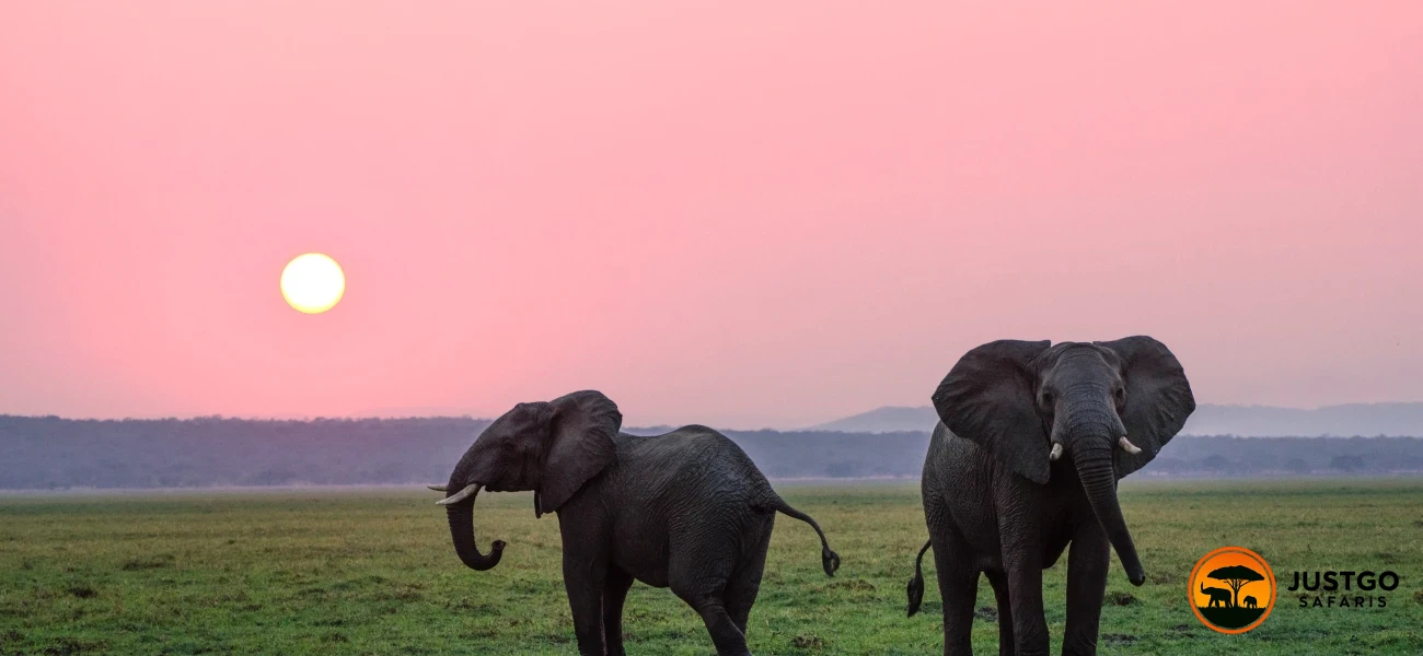 Classic Big Five Fly-In Luxury Safaris